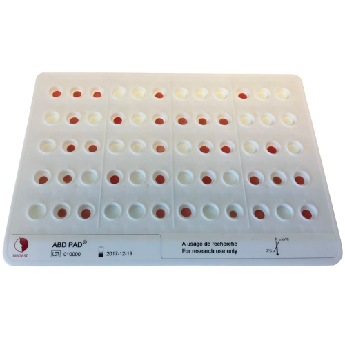 Screening and Diagnosis
